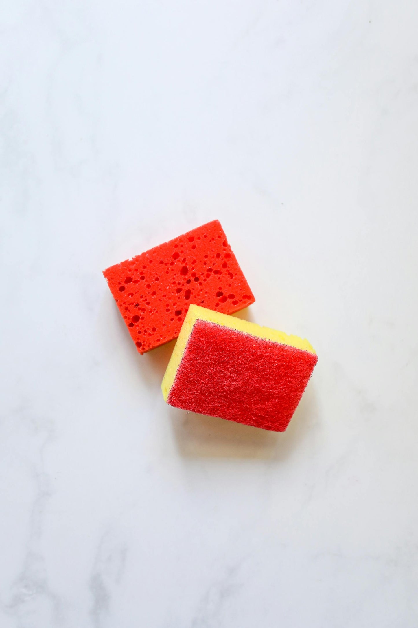 Compostable Sponge Cloths (Set of 5)